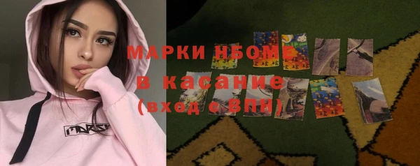 индика Алексин