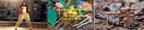 мет Алзамай