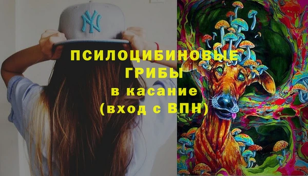 индика Алексин