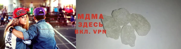 индика Алексин