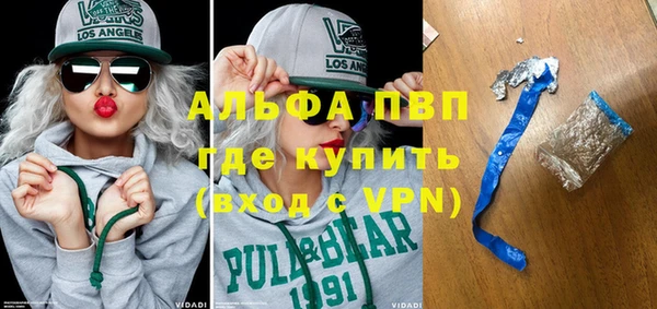 индика Алексин