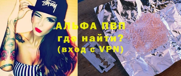 индика Алексин
